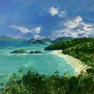 Trunk Bay Tableau by Heather Hodgeman